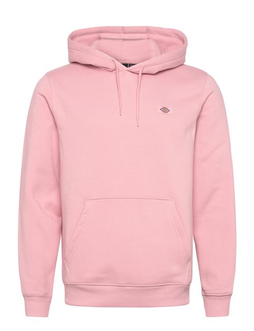 Dickies | Oakport Hoodie | L