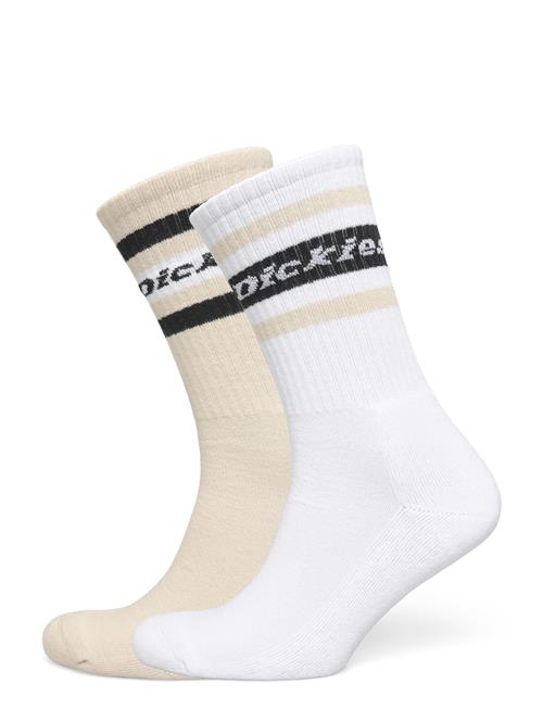 Dickies | Genola | 7-10