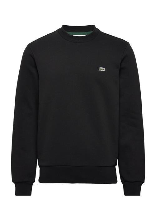 Lacoste | 1Hs1 Men's Sweatshirt | S