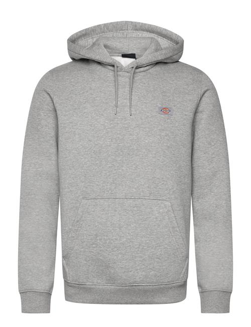 Dickies | Oakport Hoodie | L