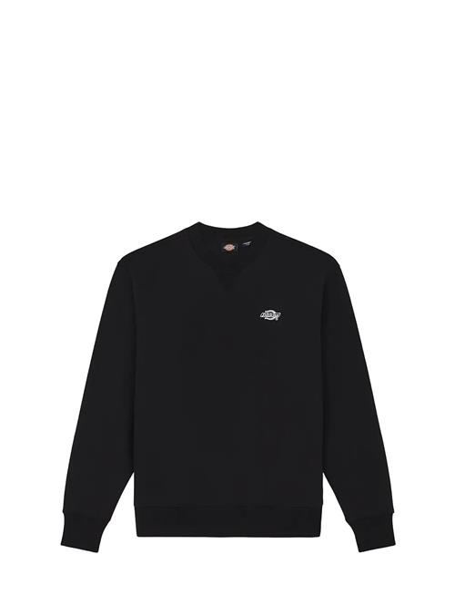 Dickies | M Summerdale Sweatshirt | XS