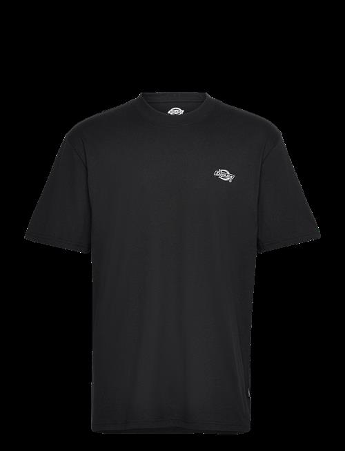 Dickies | Summerdale Ss Tee | M
