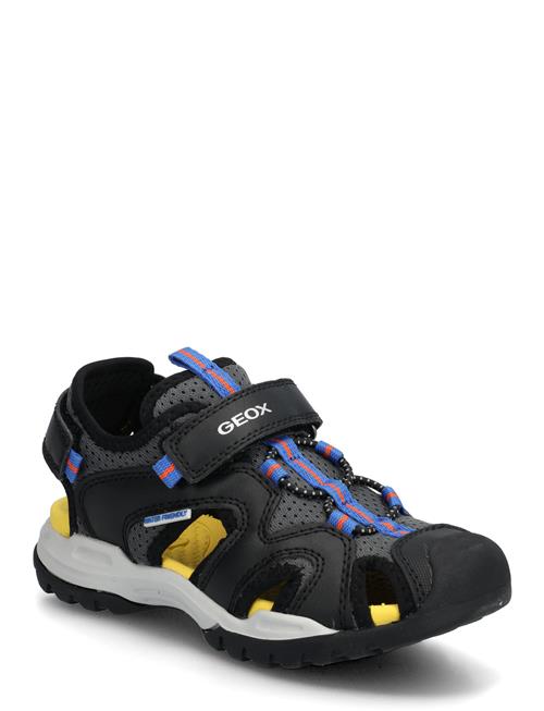GEOX | J Borealis Boy C | 29