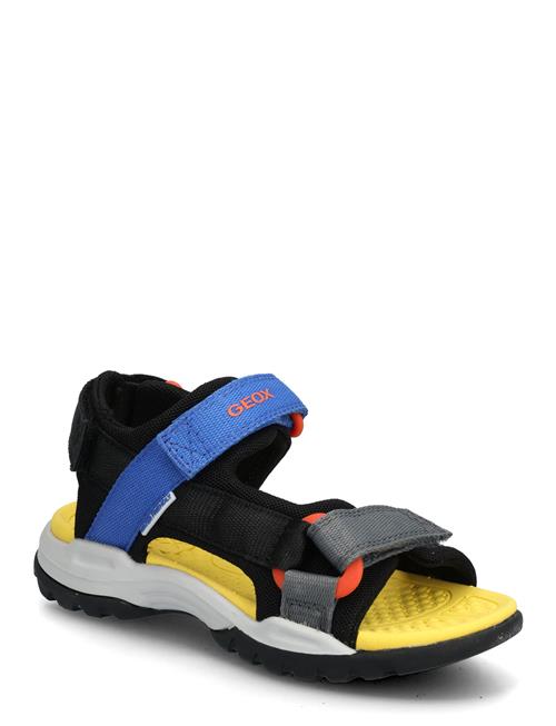 GEOX | J Borealis Boy E | 32
