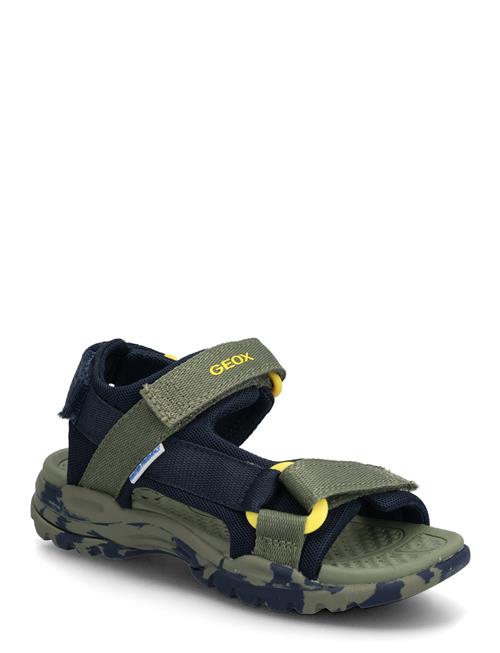GEOX | J Borealis Boy E | 29