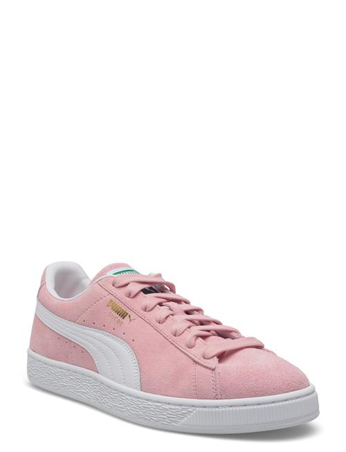 Se PUMA | Suede Classic | 41 hos Booztlet