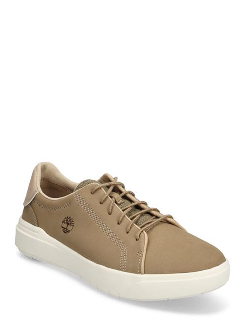 Timberland | Seneca Bay Low Lace Up Sneaker Petrified Oak | 41