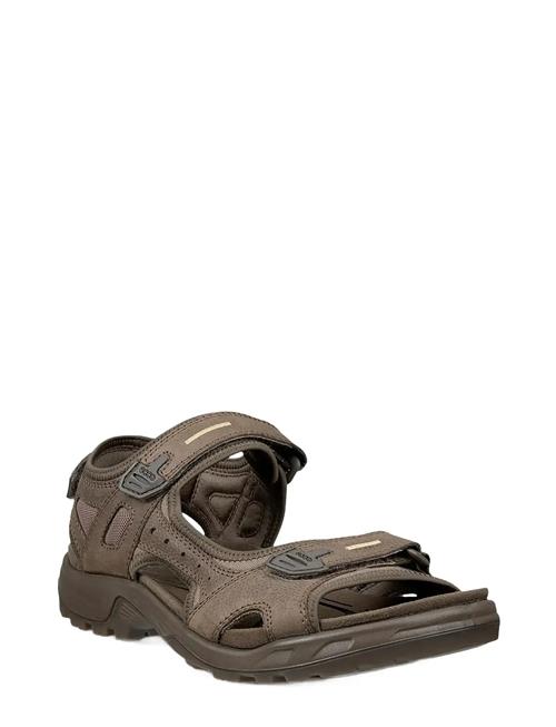 ECCO | Offroad | 44