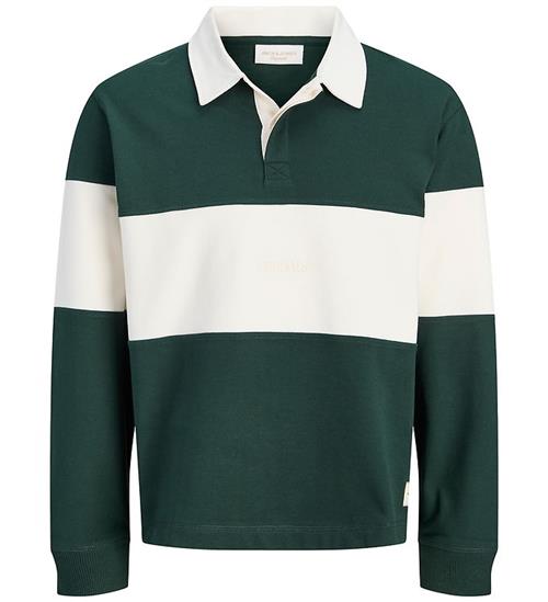 Jack & Jones Sweatshirt - JorFrederiksberg - Pine Grove