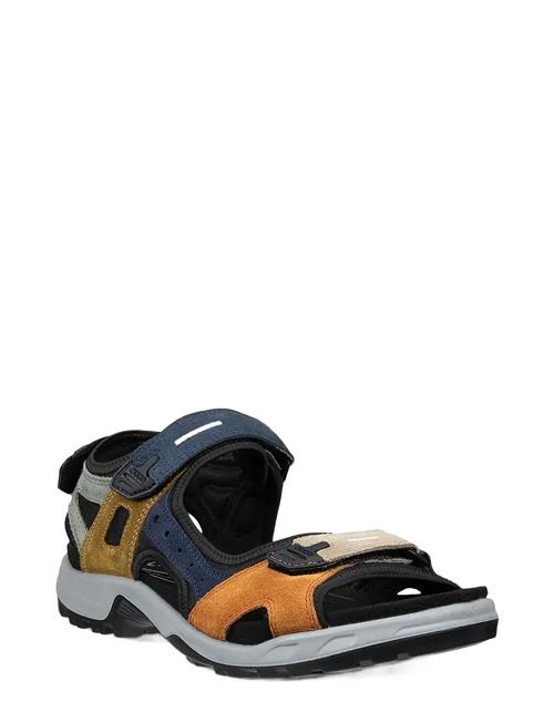 ECCO | Offroad | 47
