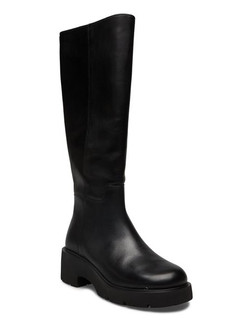 Camper | Milah | 41
