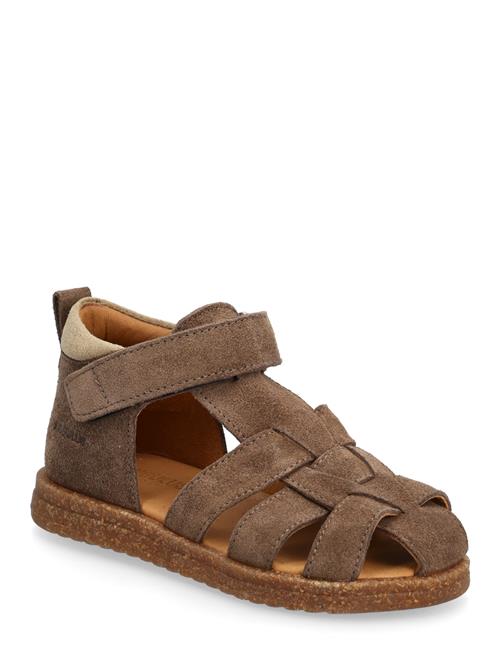 ANGULUS | Sandals - Flat  - Closed Toe | 23