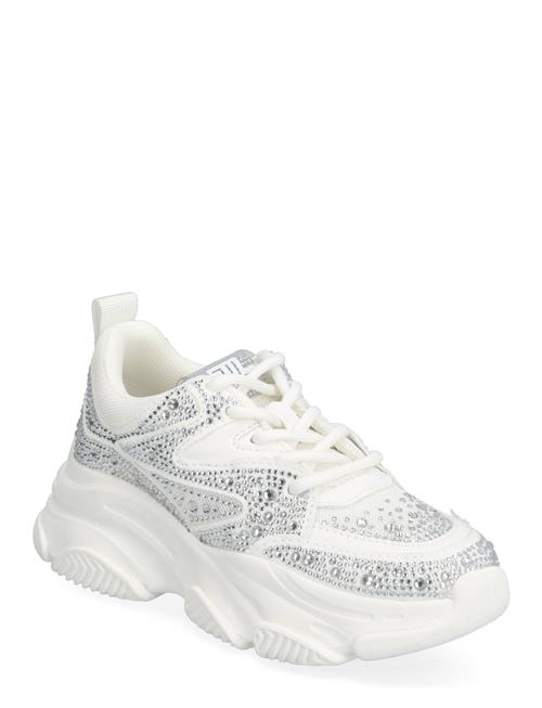 Steve Madden | Jprivy | 32