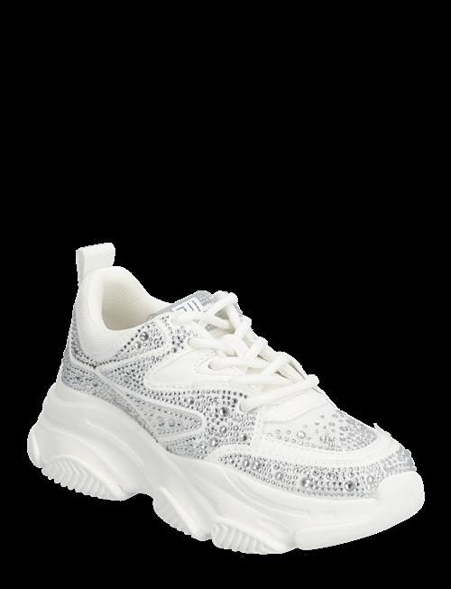 Steve Madden | Jprivy Sneaker | 32