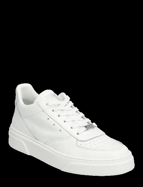 Steve Madden | Brent | 41