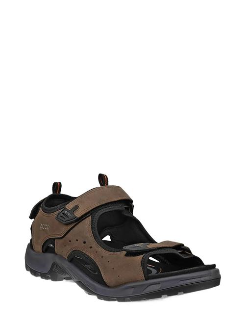 ECCO | Offroad | 43