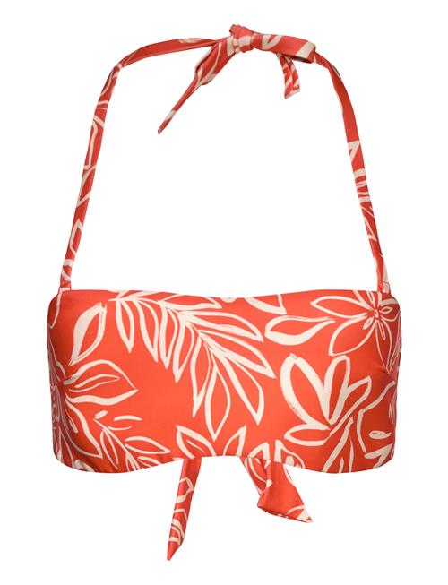 Etam | Taila - Cf Bandeau | 38
