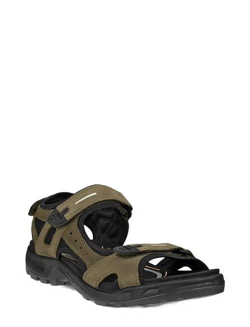 ECCO | Offroad | 43