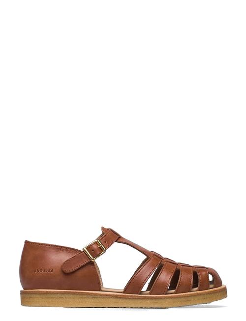 ANGULUS | Sandals - Flat  - Closed Toe - Op | 42