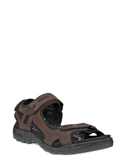 ECCO | Offroad | 50