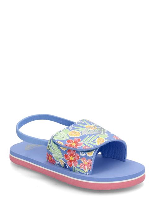 Roxy | Tw Finn | 24