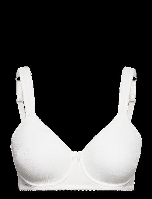 Swegmark | Adorable Shape Wire Bra Padded Cups | B x 100