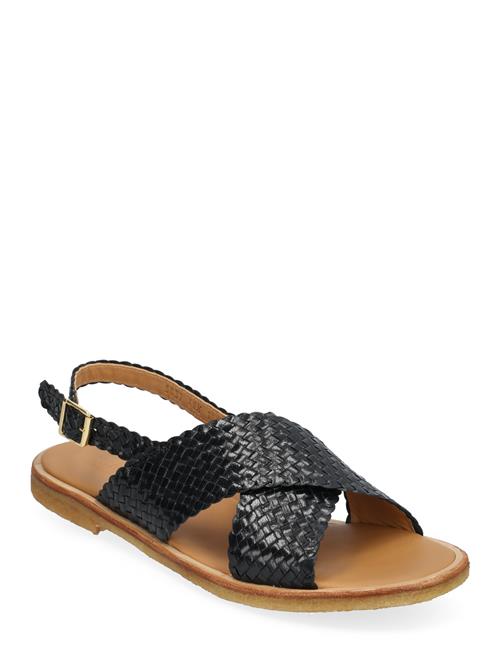 ANGULUS | Sandals - Flat  - Open Toe - Op | 41