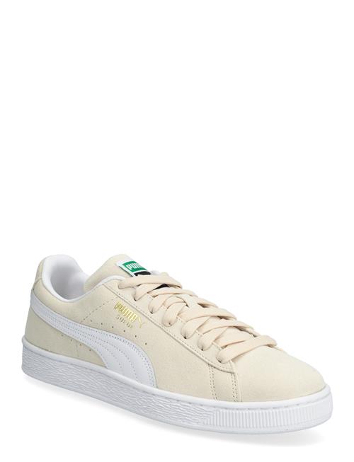 PUMA | Suede Classic | 37.5
