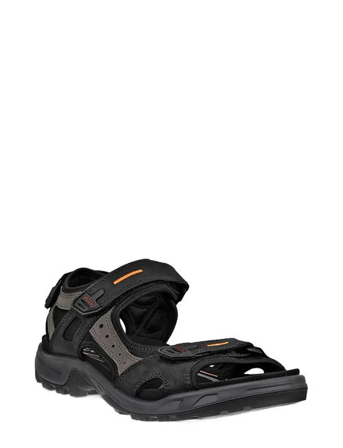 ECCO | Offroad | 48