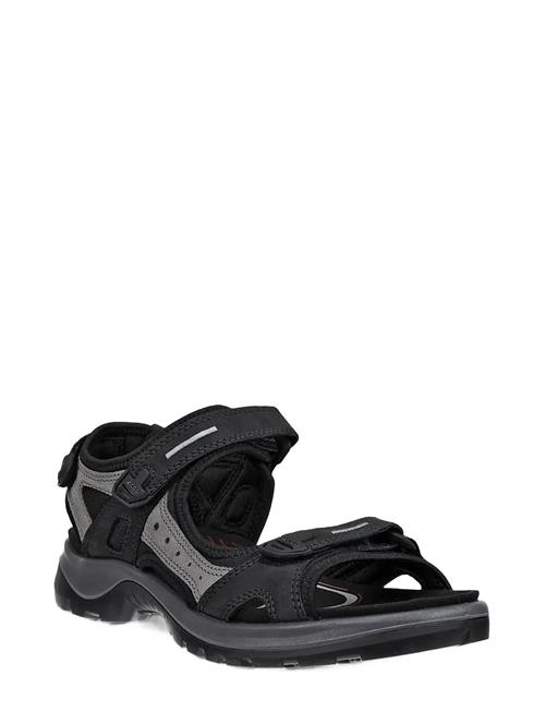 ECCO | Offroad | 43