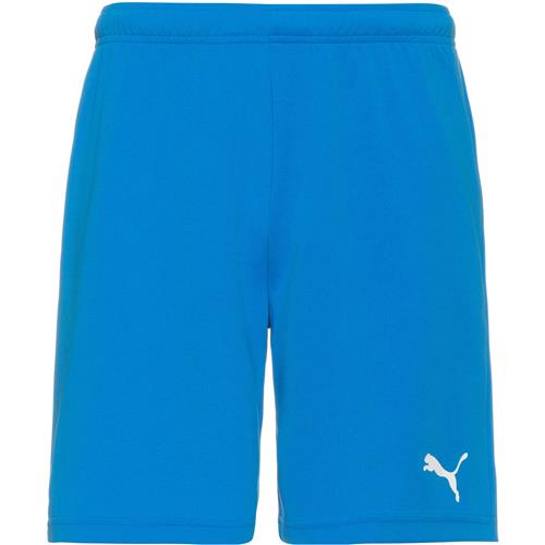 PUMA Sportsbukser 'TeamRise'  azur