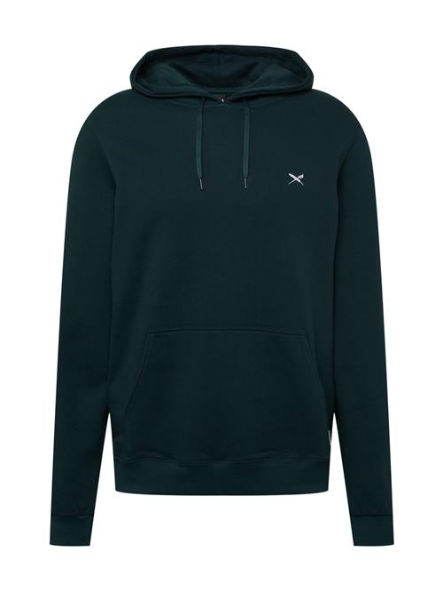 Iriedaily Sweatshirt 'Mini Flag 2'  gran