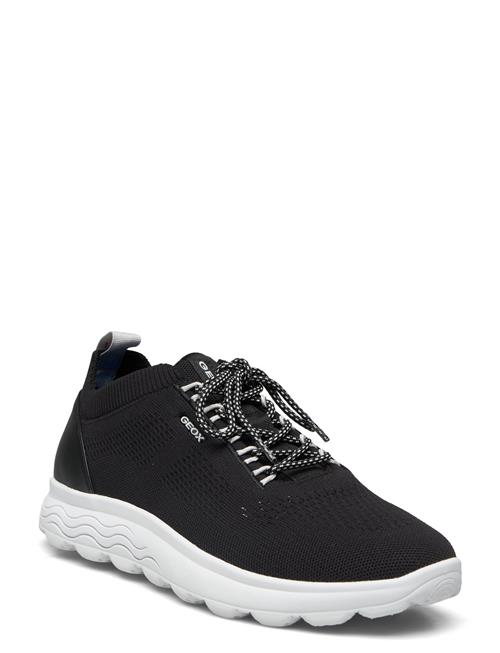 GEOX | U Spherica A | 42