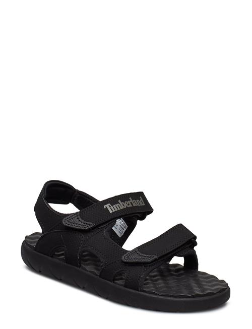 Timberland | Perkins Row Backstrap Sandal Black | 36