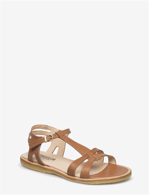 ANGULUS | Sandals - Flat | 37