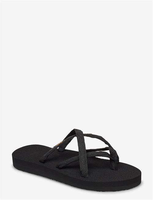 Teva | Olowahu | 37