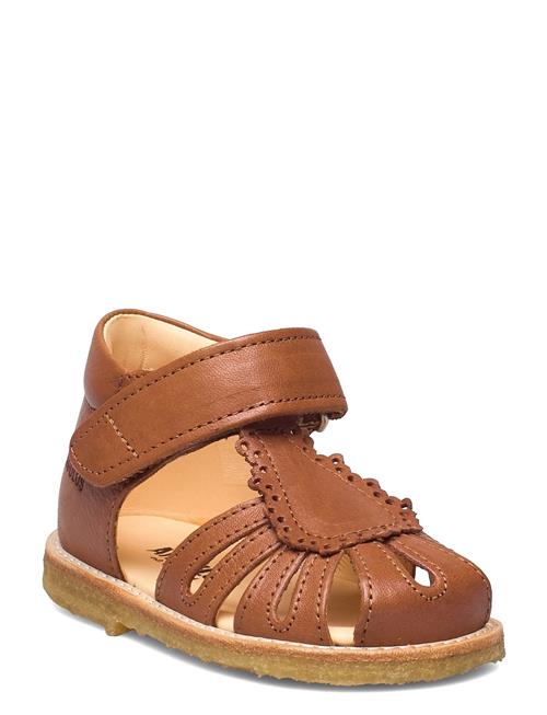 ANGULUS | Sandals - Flat  - Closed Toe | 22