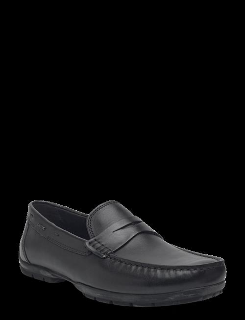 GEOX | U Moner W 2Fit D | 43