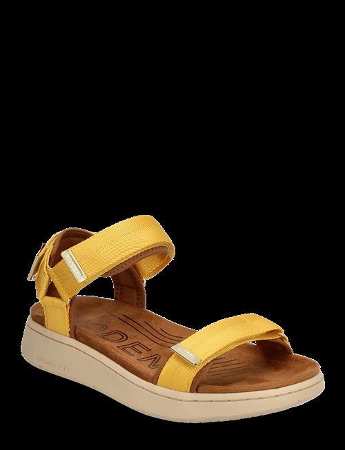 WODEN | Line | 40