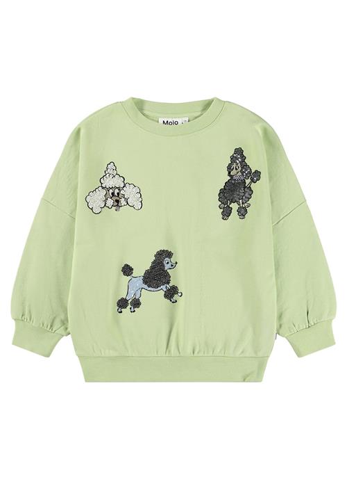Molo GOTS Marika Sweatshirt Nile Green  Nile Green 98 cm  Grøn  98 cm  Piger
