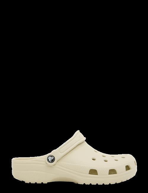 Crocs | Classic | 43/44
