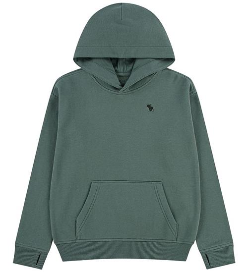 Abercrombie & Fitch Hættetrøje - Laurel Wreath