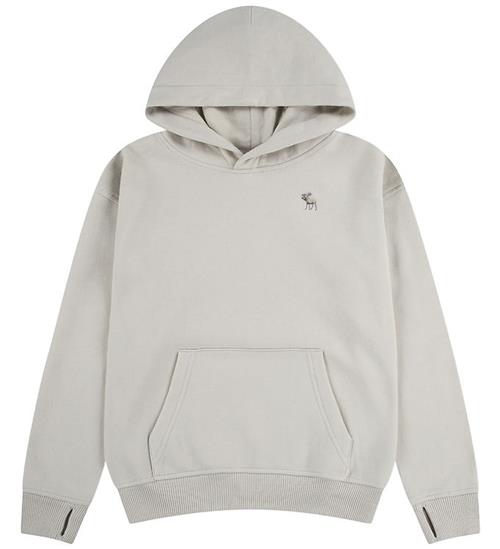Abercrombie & Fitch Hættetrøje - Pumice Stone