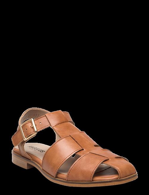ANGULUS | Sandals - Flat | 37-24.4CM