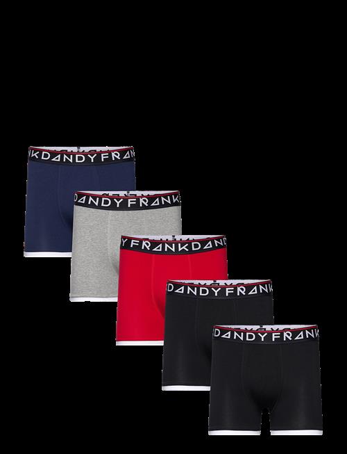 Frank Dandy | 5-P St Paul Bamboo Boxer | XXL