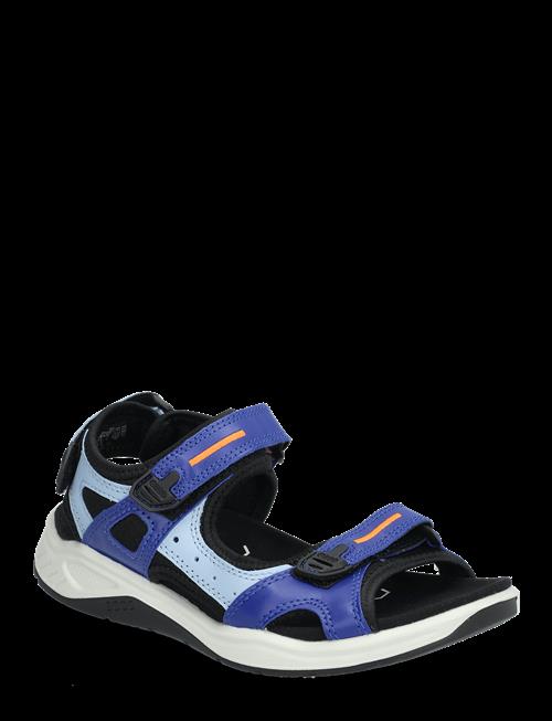 ECCO | X-Trinsic K | 39