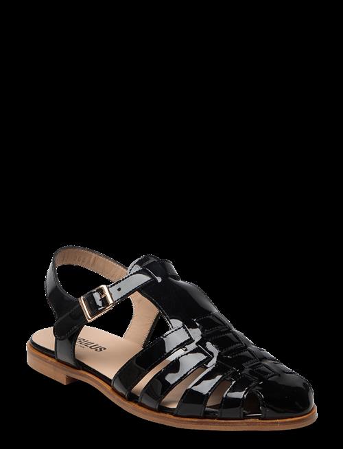 ANGULUS | Sandals - Flat  - Closed Toe - Op | 39-25.8CM