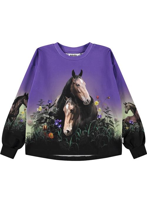 Molo Reniza Sweatshirt Mystic Horses  Mystic Horses 140 cm  Lilla  140 cm  Piger