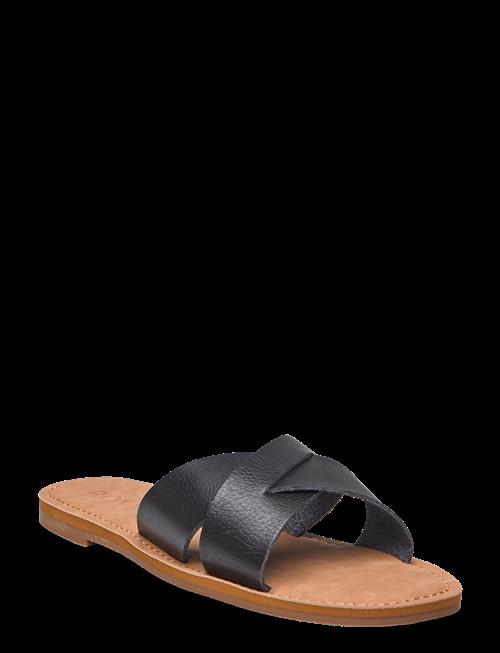 Roxy | Andreya | 39
