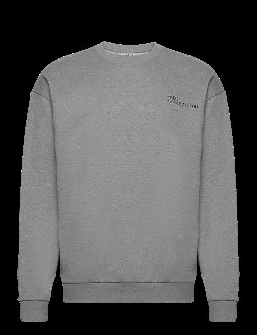 HALO | Halo Essential Crew | S